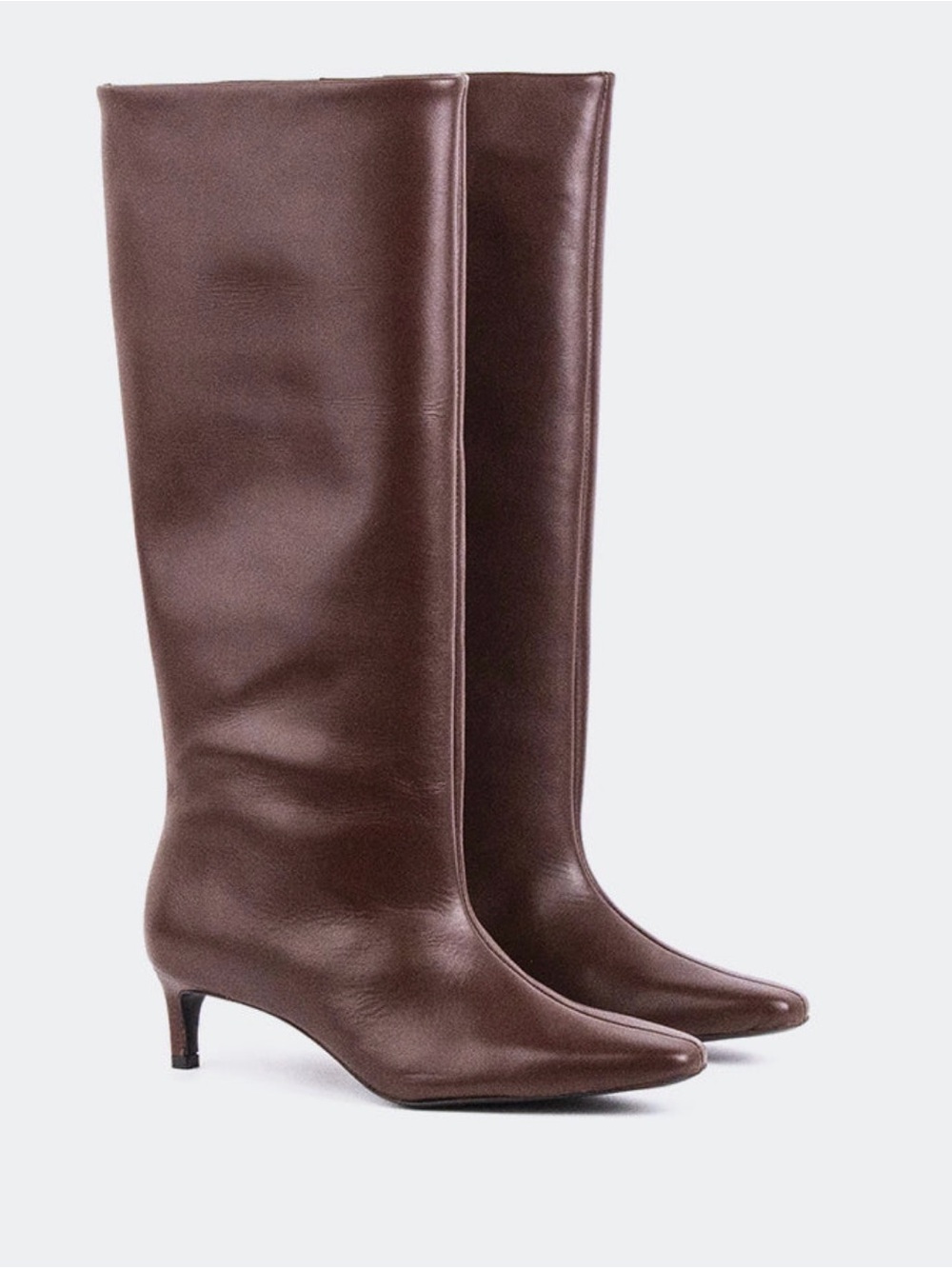 L'INTERVALLE Tall Pointed-Toe Leather Boots in Dark Brown